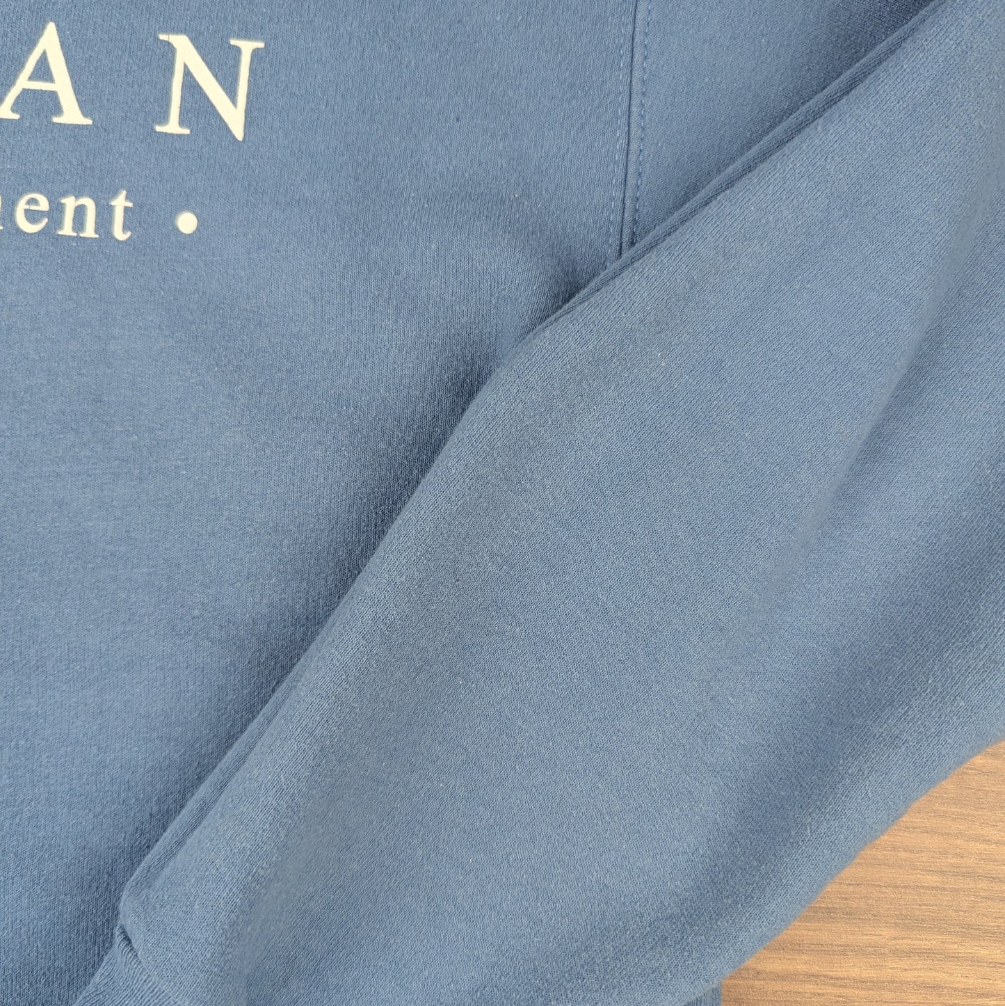 HANES Blue Michigan Graphic USA Sweatshirt Size S